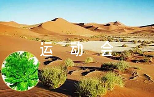 哪里可以找到关于篮球协调训练的教程?_2
